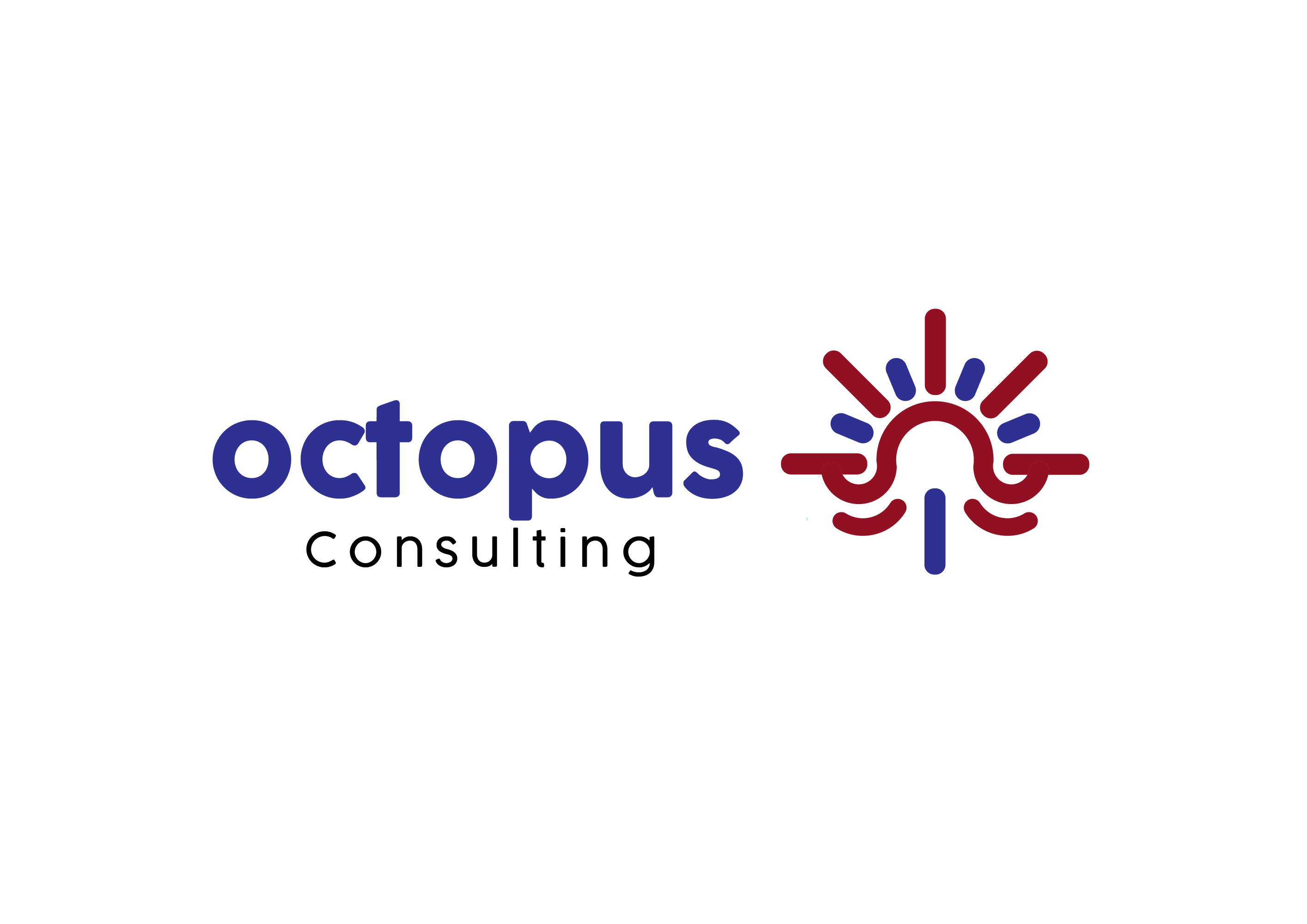 Octopus Consulting